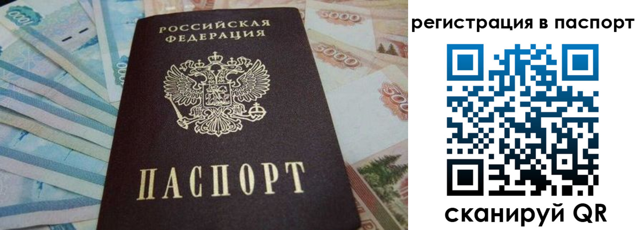 временная регистрация в квартире в Мурино