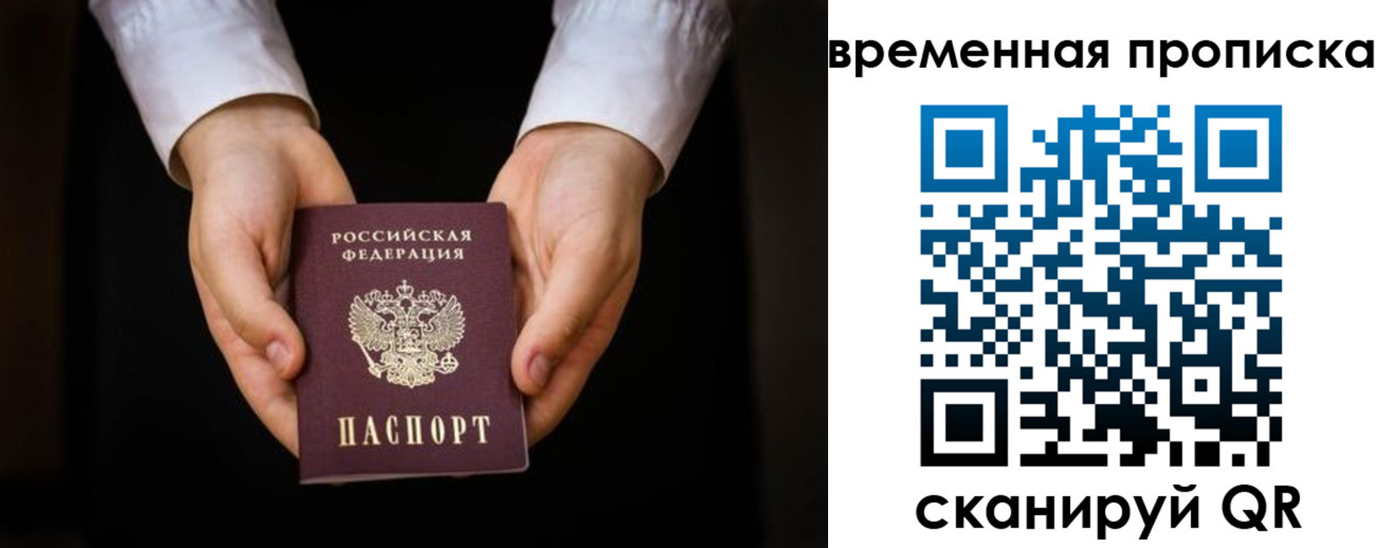 где прописаться в Мурино